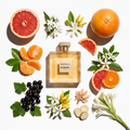 Chanel Gabrielle – Eau De Parfum