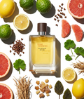 Hermes Terre d'Hermès Eau Intense Vetiver