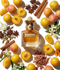Jean Paul Gaultier Scandal Absolu – Eau de Parfum