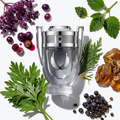 Rabanne Invictus Platinum – Eau de Parfum