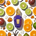 Xerjoff Purple Accento – Eau De Parfum